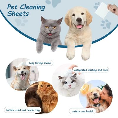قیمت خوب ملافه های تمیز کننده حیوانات خانگی ضخیم و یکبار مصرف ملفه های شستشوی بدن سگ برای محیط داخلی آنلاین